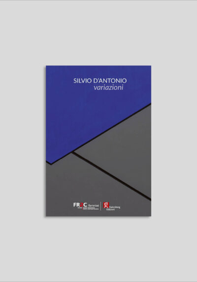 Silvio D'Antonio - Variazioni