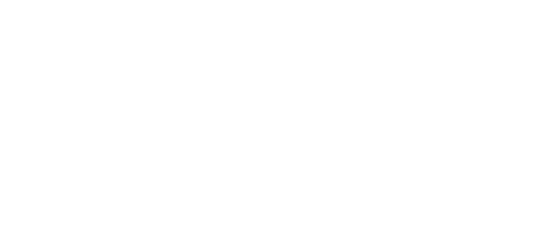 libraccio