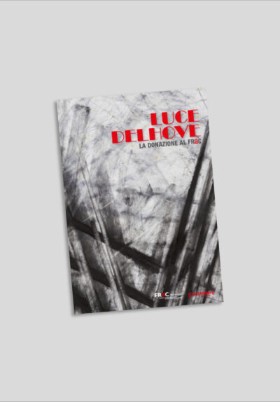 Luce Delhove - La donazione al FRaC