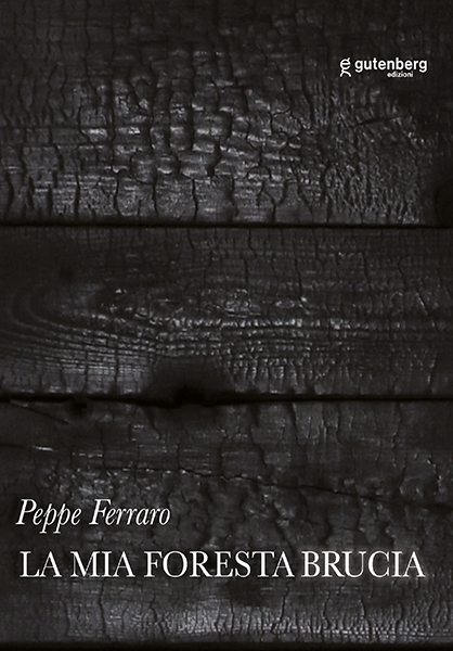 Peppe Ferraro - La mia foresta brucia