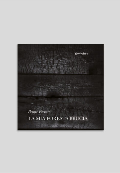 Peppe Ferraro - La mia foresta brucia